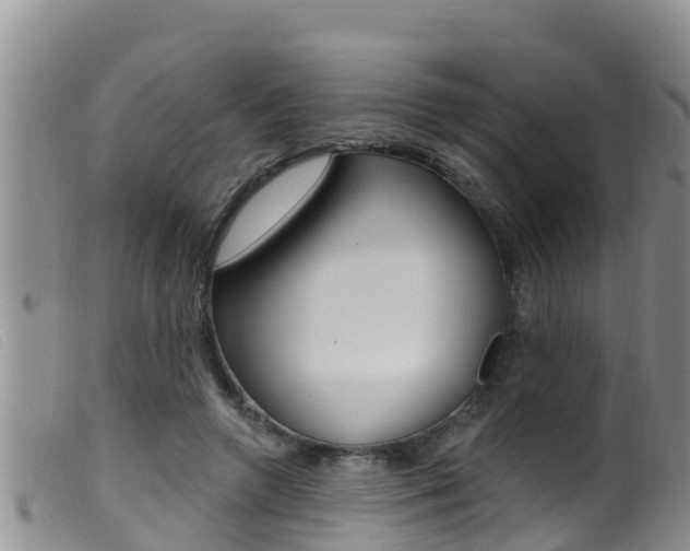X0000099960546200805231029