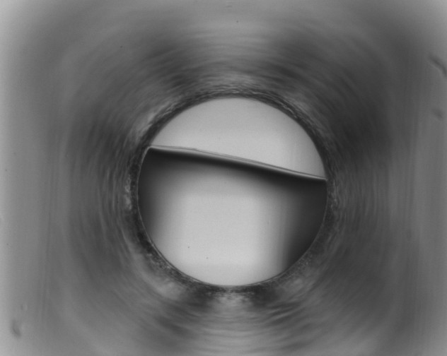X0000099960547200805231029