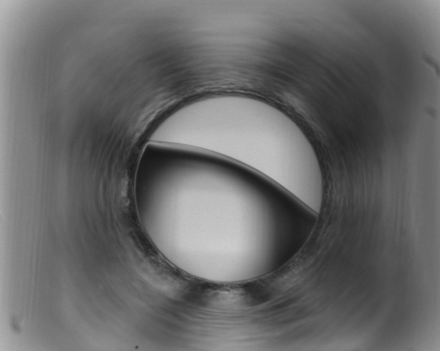 X0000099960548200805231029