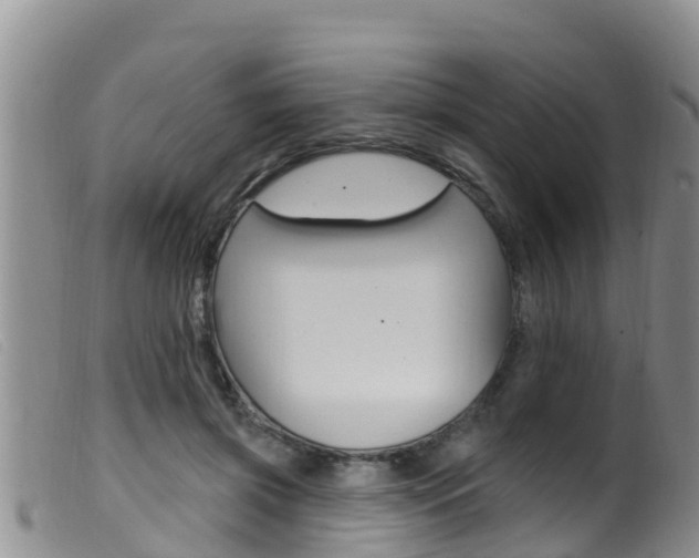 X0000099960549200805231029