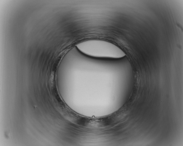 X0000099960550200805231029