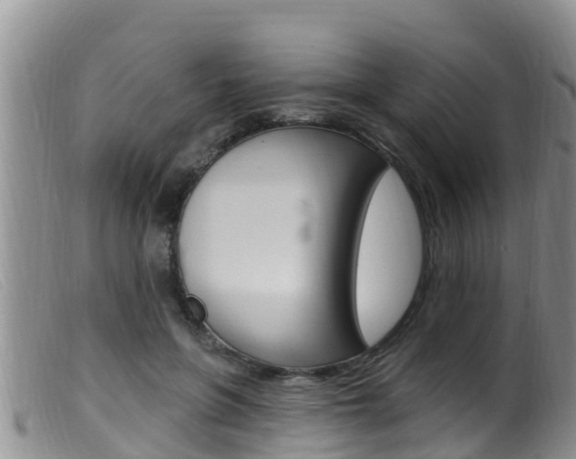 X0000099960551200805231029