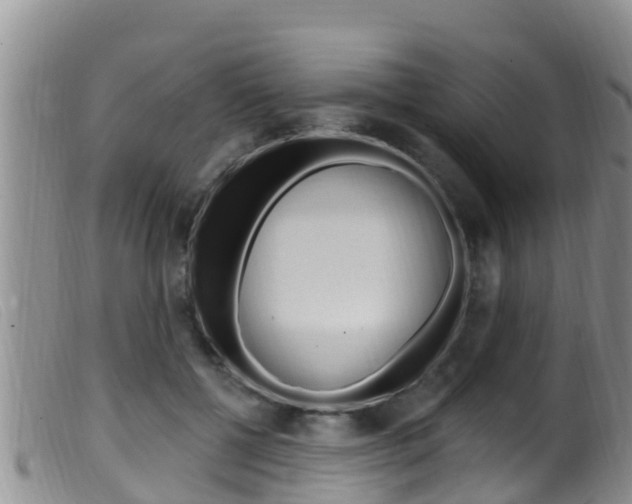 X0000099960552200805231029