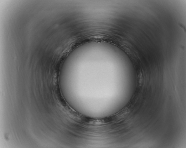 X0000099960559200805231029