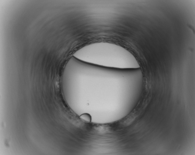 X0000099960561200805231029