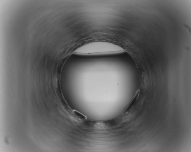 X0000099960562200805231029