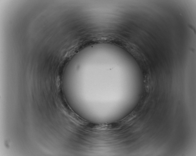 X0000099960563200805231029