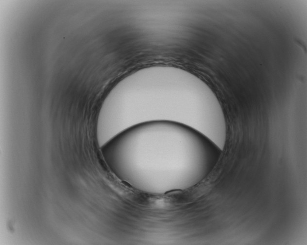 X0000099960564200805231029