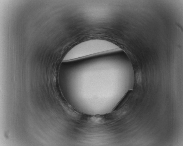 X0000099960570200805231030