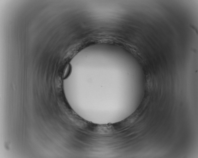 X0000099960571200805231030