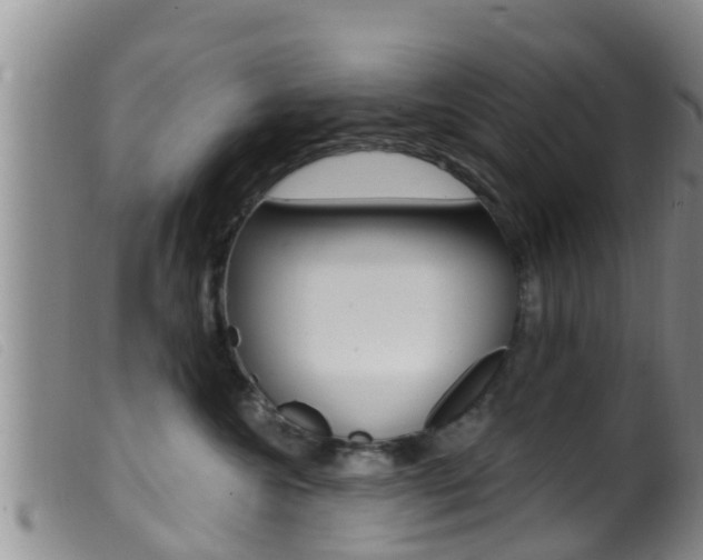 X0000099960572200805231030