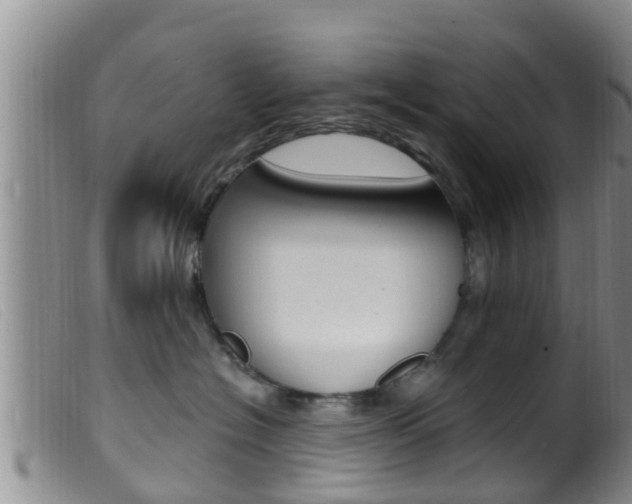 X0000099960574200805231030