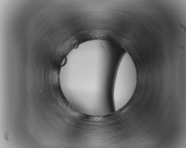 X0000099960575200805231030