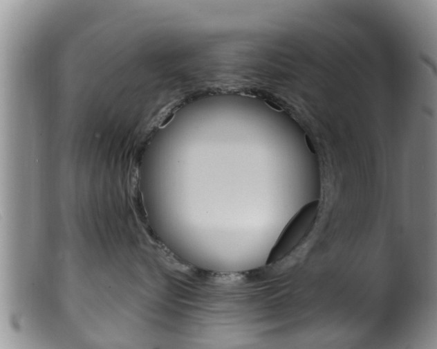 X0000099960576200805231030