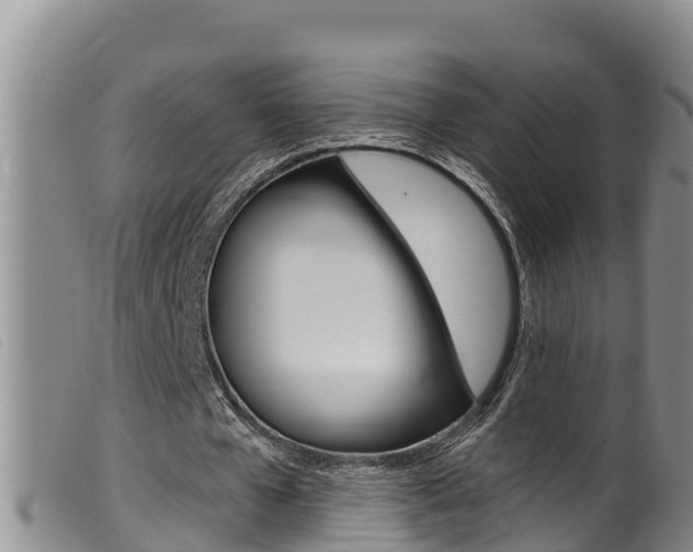X0000099960577200805231029