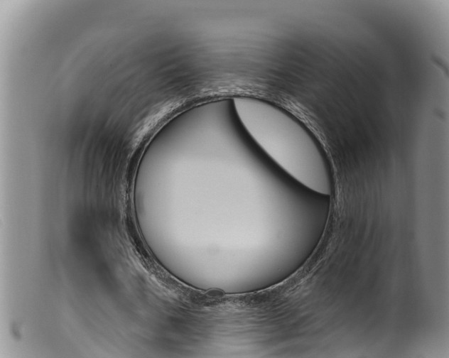 X0000099960578200805231029