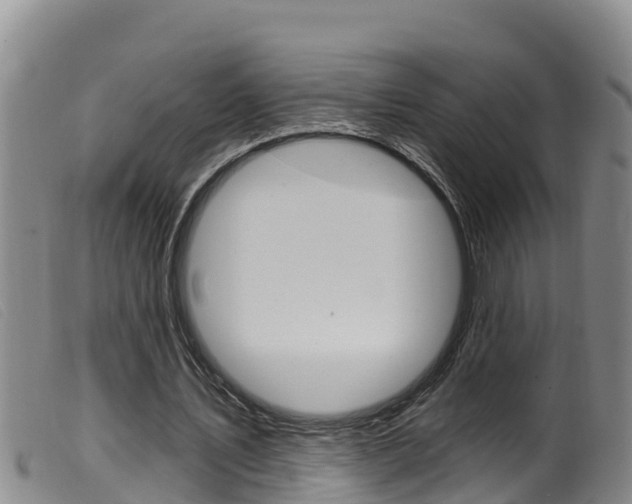 X0000099960579200805231029