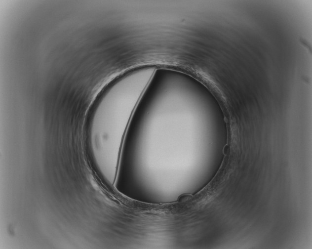 X0000099960580200805231029