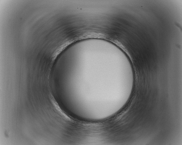 X0000099960581200805231029