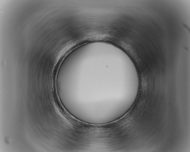 X0000099960582200805231029