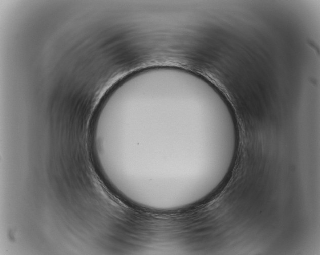 X0000099960584200805231029