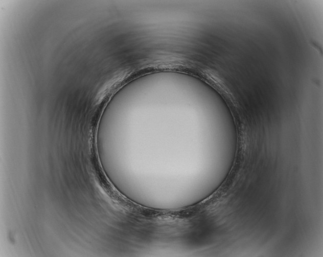X0000099960586200805231029