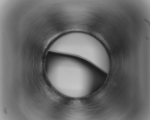 X0000099960588200805231029