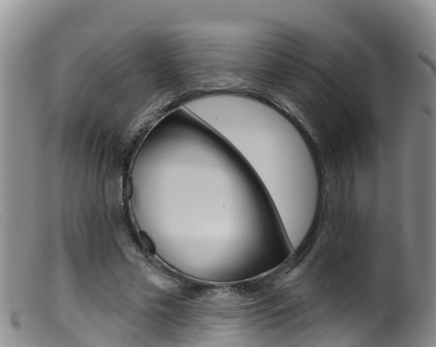 X0000099960589200805231029