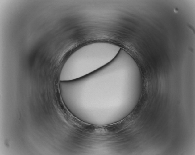 X0000099960591200805231029