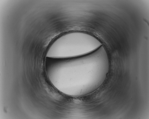 X0000099960592200805231029