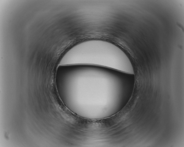 X0000099960593200805231029