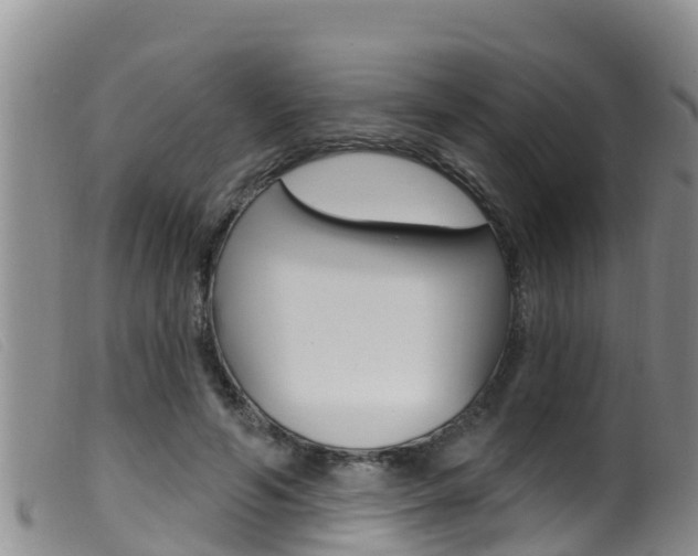 X0000099960594200805231029
