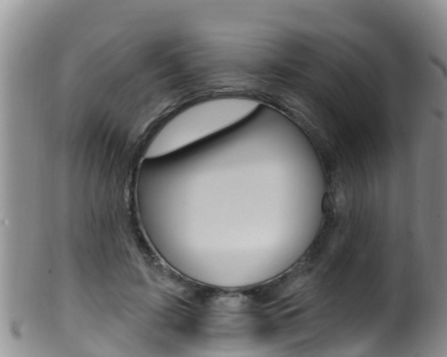 X0000099960595200805231028