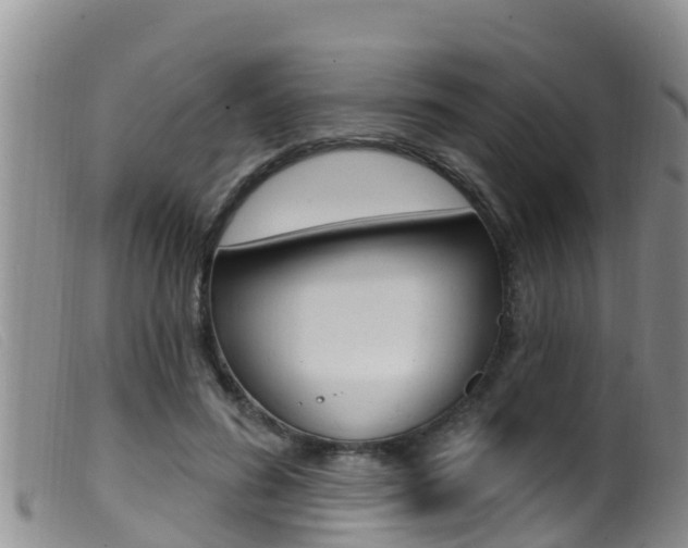X0000099960596200805231028
