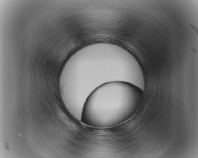 X0000099960597200805231028