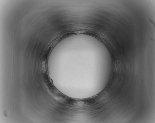X0000099960598200805231028