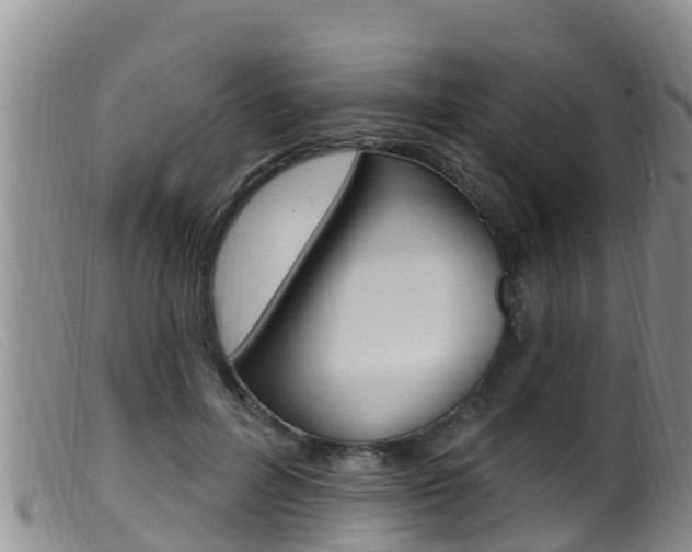 X0000099960600200805231028