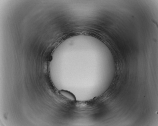 X0000099960602200805231028