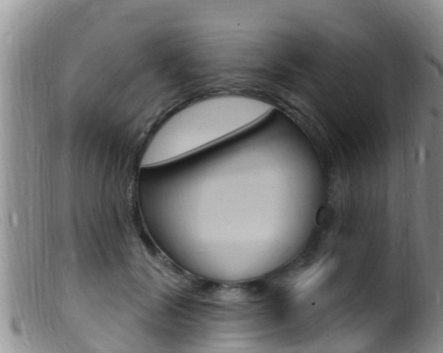 X0000099960604200805231028
