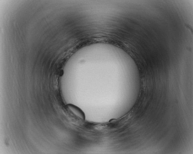 X0000099960606200805231028