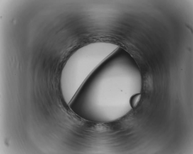 X0000099960608200805231028