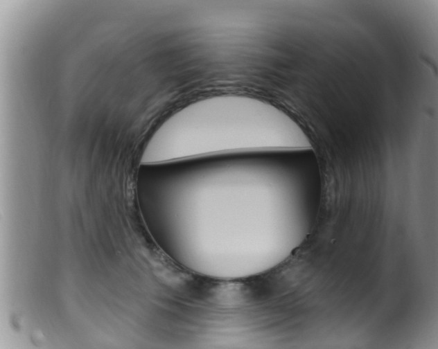 X0000099960609200805231028