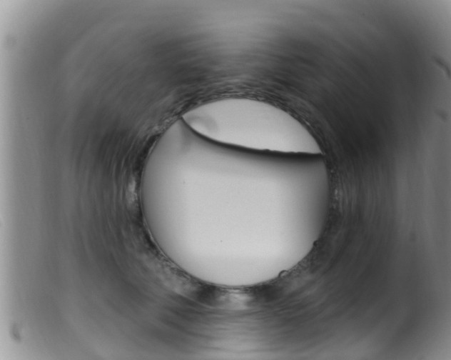 X0000099960610200805231028