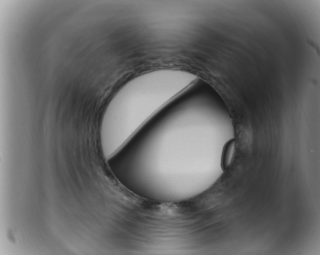 X0000099960612200805231028