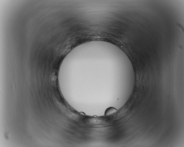 X0000099960614200805231028