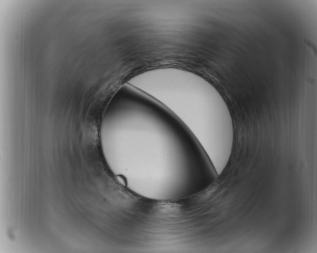X0000099960617200805231028