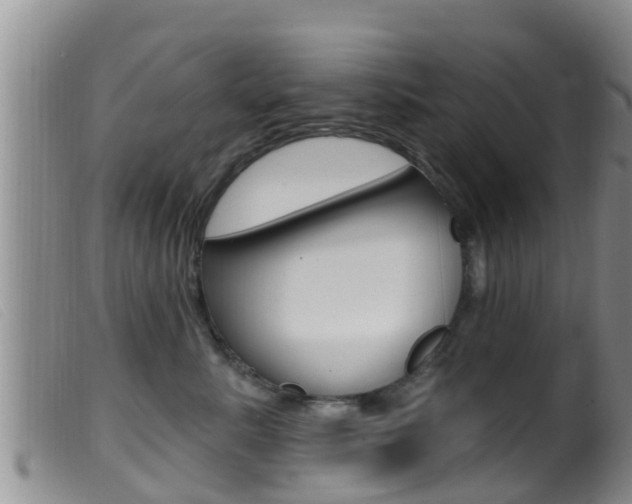 X0000099960619200805231028
