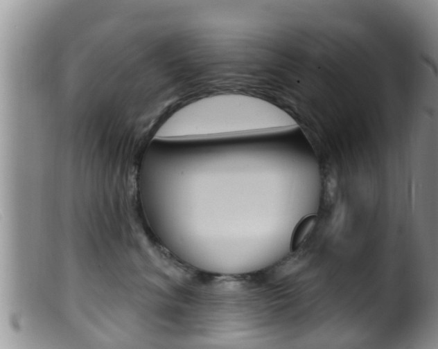 X0000099960620200805231028