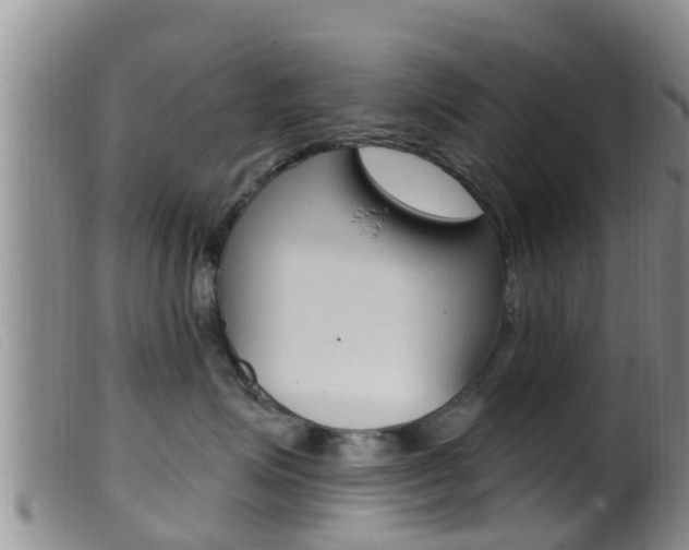 X0000099960623200805231028