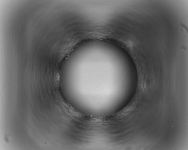X0000099960624200805231028